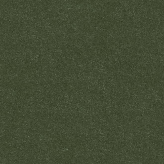 Beispielfilztextur in der Farbe forest moss