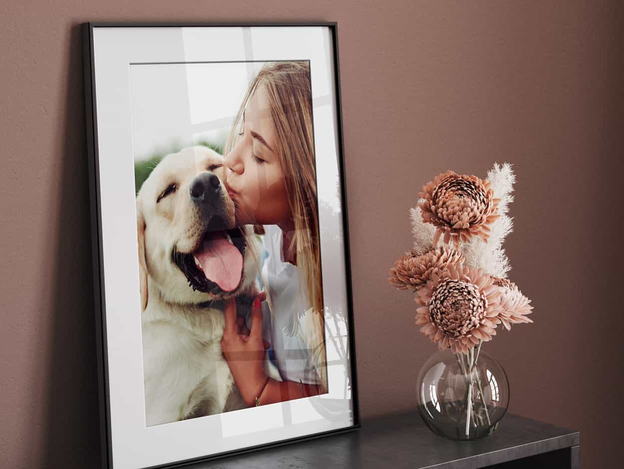 Foto eines Hunden in einem gerahmten Foto