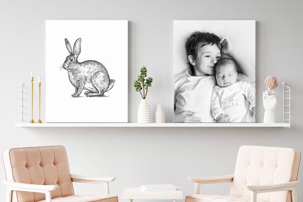 Foto auf Forex bestellen