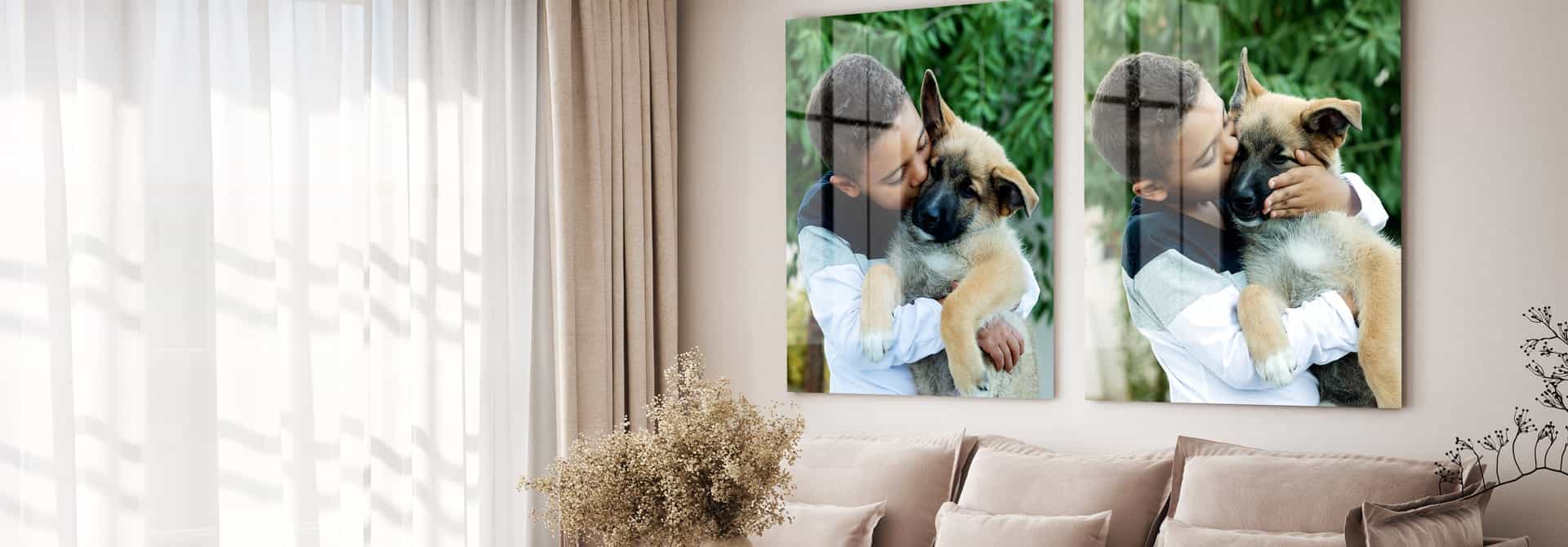 Foto eines Hunden auf HD Metal