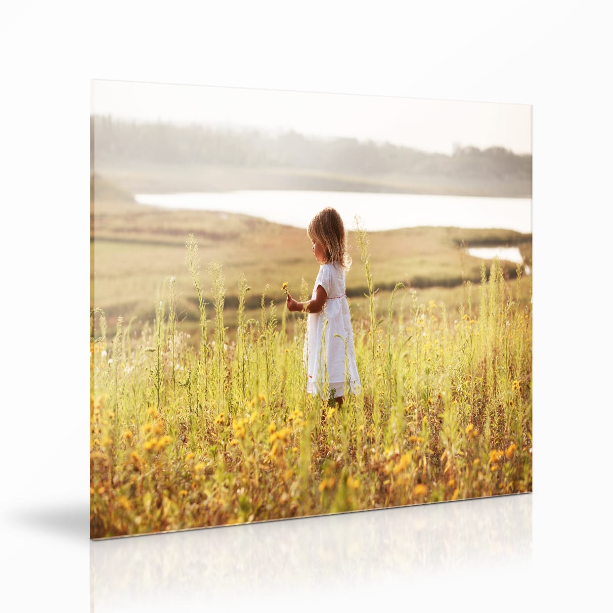 Foto hinter Acrylglas